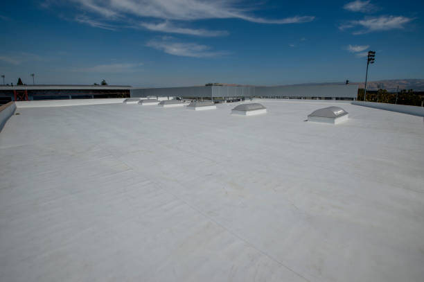 Best Roof Maintenance and Cleaning  in Powder Springs, GA